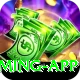 666DGame King Gaming App