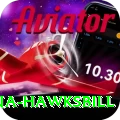 antigua hawksbill Games (Casino & Earning) Ultimate v3.1.5