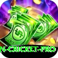 australian cricket Pakistan VIP v1.5.1