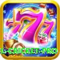 bbl cricket Casino Official v2.7.3