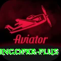 bingopkr Plus v1.9.9