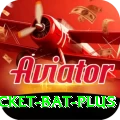 cricket bat Slots Mega v3.5.9