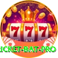 cricket bat Casino Official v1.3.1