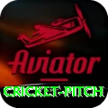 cricket pitch Elite Pro v5.1.4