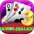 dawid malan Premium Edition v2.3.0