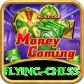 flying chess VIP