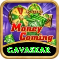 gavaskar Plus v2.9.0