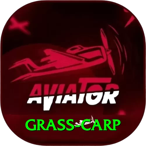 grass carp Gold Edition v4.5.7 - 2