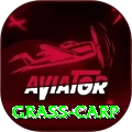 grass carp Gold Edition v4.5.7