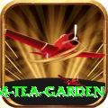 hile ilam tea garden Plus Edition v4.1.2