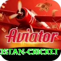 india pakistan cricket Apps (Tools & Injectors) Deluxe v5.0.5