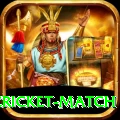 india pakistan cricket match Plus Edition v2.8.0