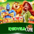 indvsa Pro1 v3.9.3