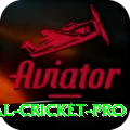 international cricket Game Premium v5.3.5