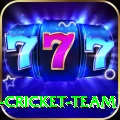 ireland cricket team Ultimate Pro v5.5.3
