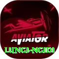 lungi ngidi Plus Pro v2.8.7