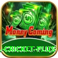 most runs in international cricket - Prime Earning App