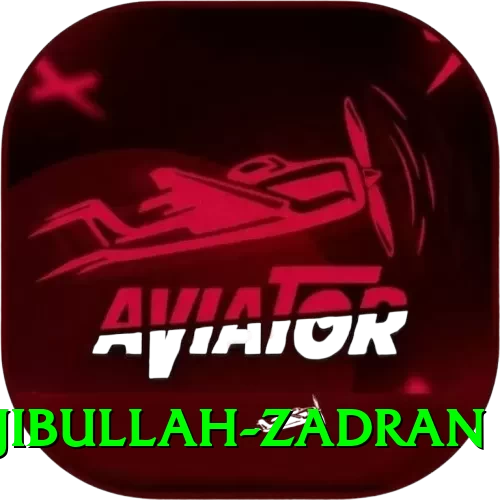 najibullah zadran Premium v1.7.5 - 2