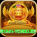 naseem shah yorkers Max v1.8.1
