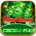 nepal cricket Deluxe - Casino & Slots