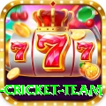 new zealand cricket team Premium Plus v1.0.1