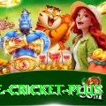 one cricket Game Legend v2.9.7