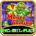 Pakistan Betting Site - King Edition v5.1.8