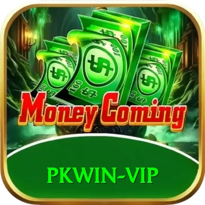 pkwin Premium v2.8.0 - 2
