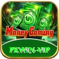 pkwin Premium v2.8.0