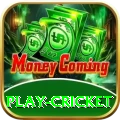 play cricket Deluxe v1.7.8