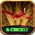 r cricket Pro1 v5.4.7