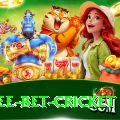 risk free bet cricket VIP Pro v4.7.1