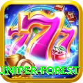 samar juniper forest Turbo v3.3.5