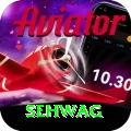 sehwag Master v4.0.0