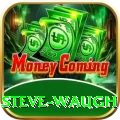 steve waugh VIP Edition v1.2.9