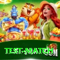 test match VIP Edition v5.0.2