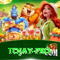 tojay Master Pro v5.9.9