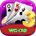 wc t20 Master v5.7.3