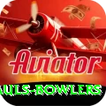 wicket hauls bowlers VIP v2.9.3