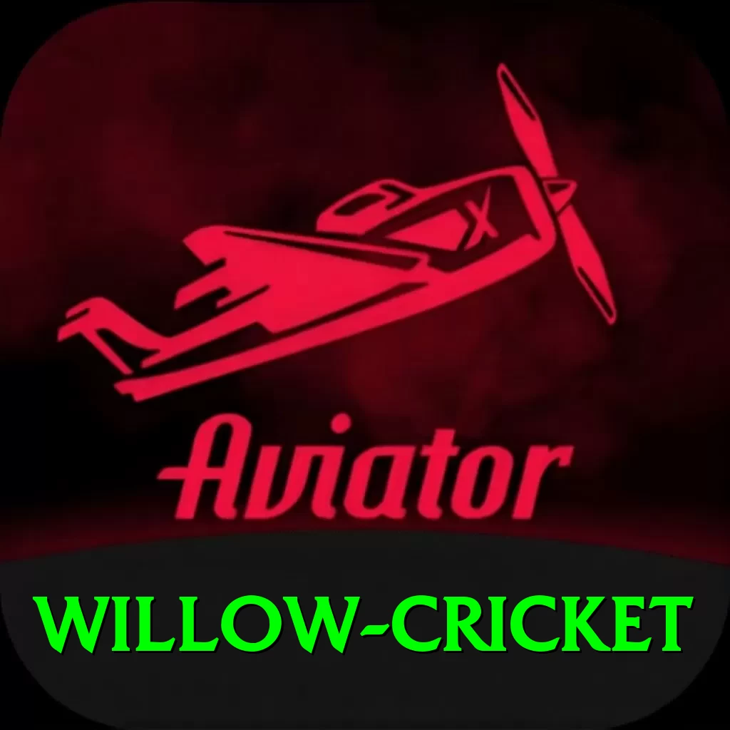willow cricket Pro Edition v5.5.5 - 2