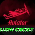 willow cricket Pro Edition v5.5.5